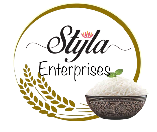 Styla Enterprises Logo